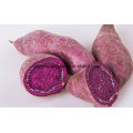 Natural Pure Purple Potato Powder Without Additives